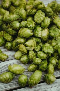 Imperial IPA Hops